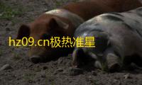hz09.cn极热准星精灵去广告版下载